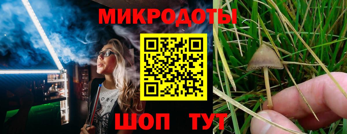 Галлюциногенные грибы Cubensis  Вход с VPN  Саянск 